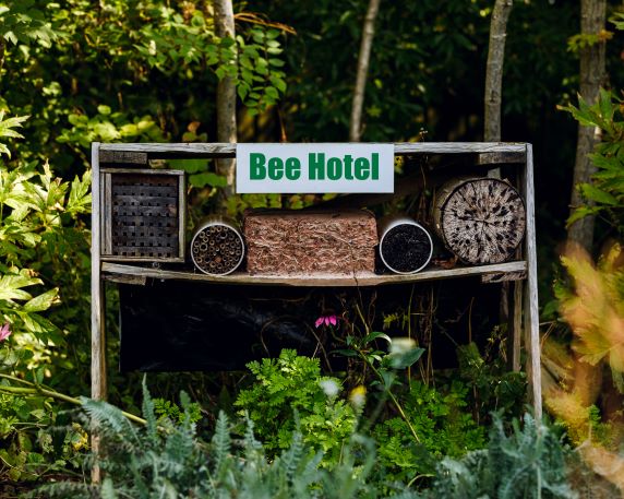 Czy pszczoły są pod ochroną ?